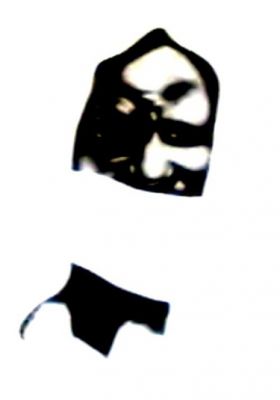 CHEIKH AHMADOU BAMBA
